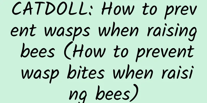 CATDOLL: How to prevent wasps when raising bees (How to prevent wasp bites when raising bees)