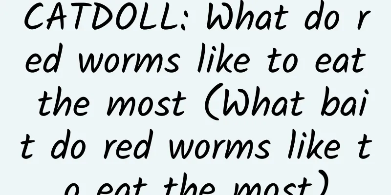 CATDOLL: What do red worms like to eat the most (What bait do red worms like to eat the most)