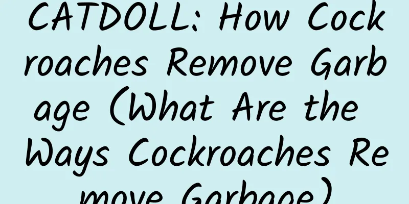CATDOLL: How Cockroaches Remove Garbage (What Are the Ways Cockroaches Remove Garbage)