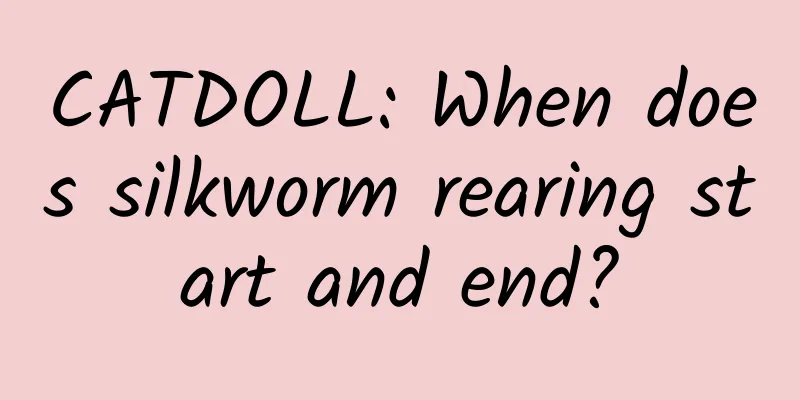 CATDOLL: When does silkworm rearing start and end?