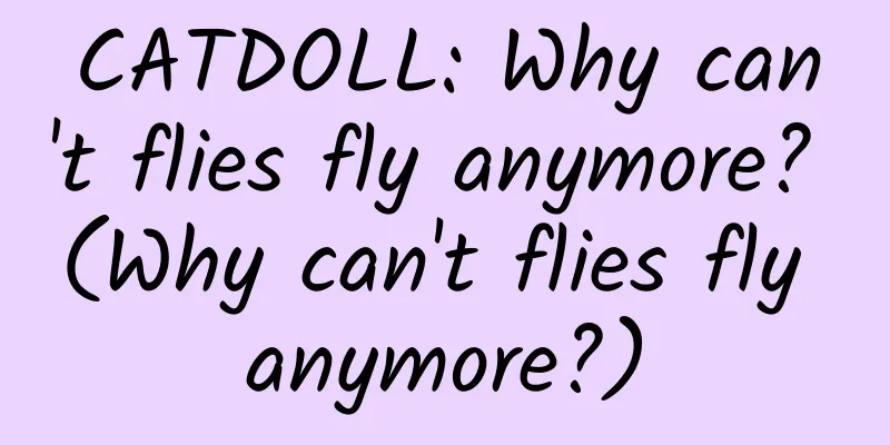 CATDOLL: Why can't flies fly anymore? (Why can't flies fly anymore?)