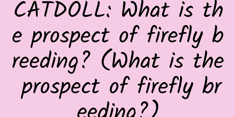 CATDOLL: What is the prospect of firefly breeding? (What is the prospect of firefly breeding?)