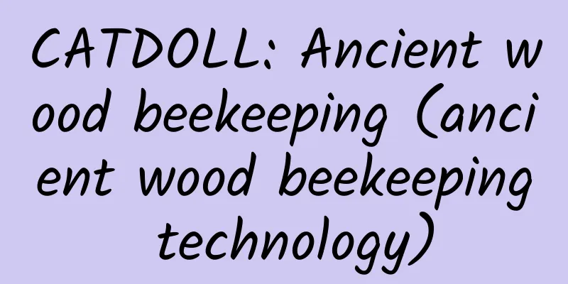 CATDOLL: Ancient wood beekeeping (ancient wood beekeeping technology)