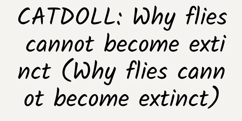 CATDOLL: Why flies cannot become extinct (Why flies cannot become extinct)