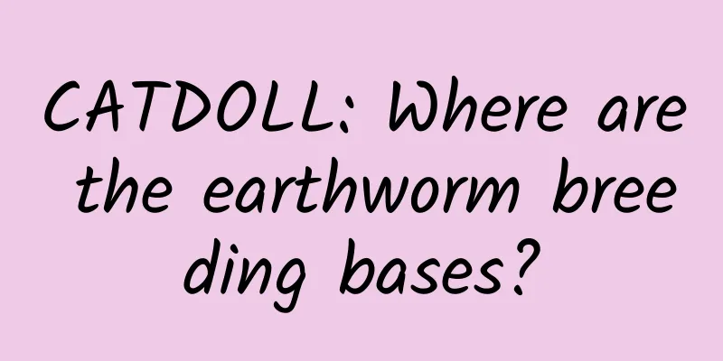 CATDOLL: Where are the earthworm breeding bases?