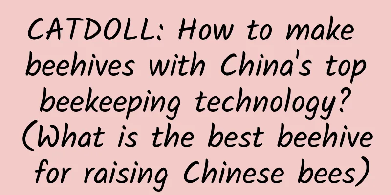 CATDOLL: How to make beehives with China's top beekeeping technology? (What is the best beehive for raising Chinese bees)