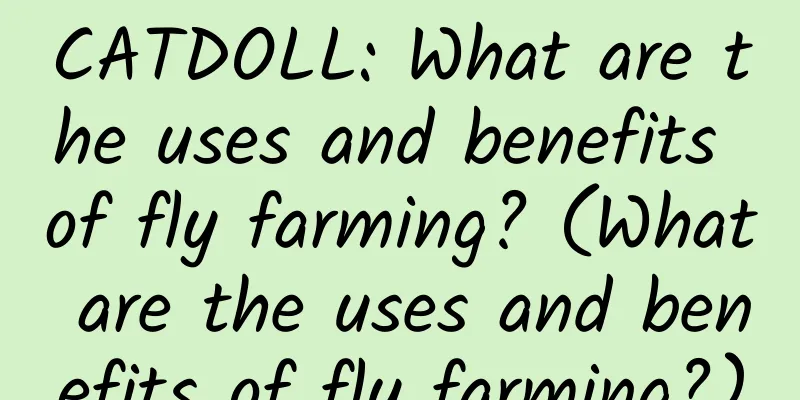 CATDOLL: What are the uses and benefits of fly farming? (What are the uses and benefits of fly farming?)