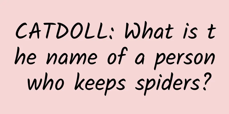 CATDOLL: What is the name of a person who keeps spiders?