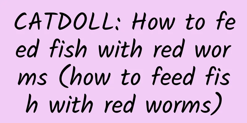 CATDOLL: How to feed fish with red worms (how to feed fish with red worms)