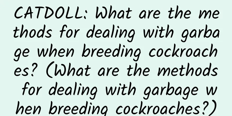 CATDOLL: What are the methods for dealing with garbage when breeding cockroaches? (What are the methods for dealing with garbage when breeding cockroaches?)