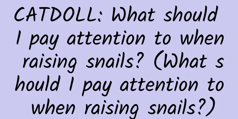 CATDOLL: What should I pay attention to when raising snails? (What should I pay attention to when raising snails?)