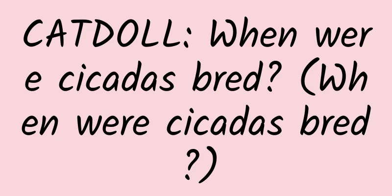 CATDOLL: When were cicadas bred? (When were cicadas bred?)