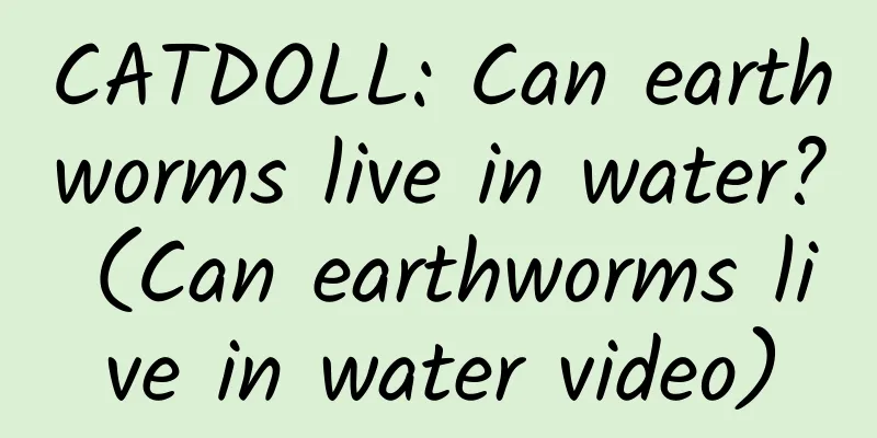 CATDOLL: Can earthworms live in water? (Can earthworms live in water video)