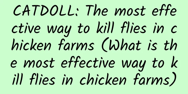 CATDOLL: The most effective way to kill flies in chicken farms (What is the most effective way to kill flies in chicken farms)