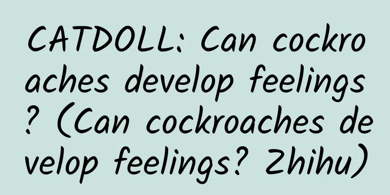 CATDOLL: Can cockroaches develop feelings? (Can cockroaches develop feelings? Zhihu)