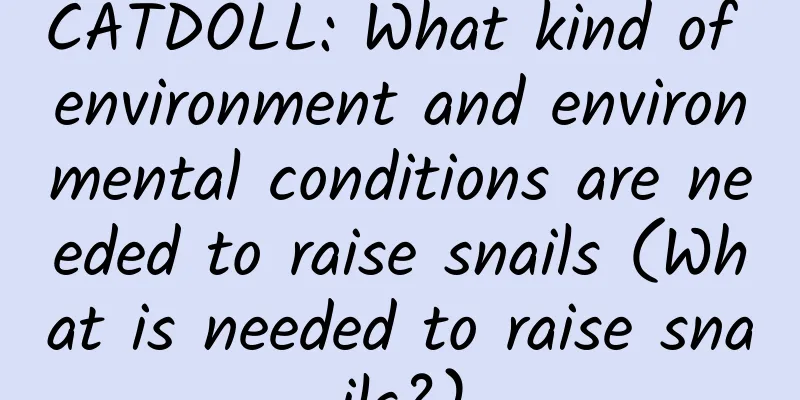 CATDOLL: What kind of environment and environmental conditions are needed to raise snails (What is needed to raise snails?)