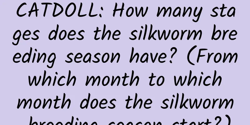 CATDOLL: How many stages does the silkworm breeding season have? (From which month to which month does the silkworm breeding season start?)