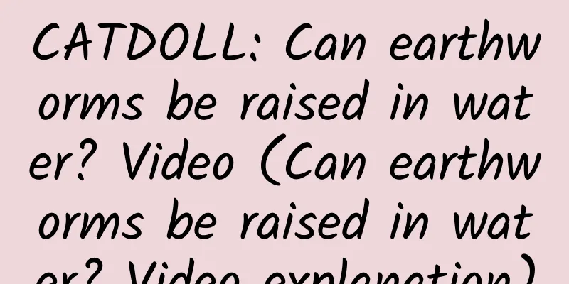 CATDOLL: Can earthworms be raised in water? Video (Can earthworms be raised in water? Video explanation)