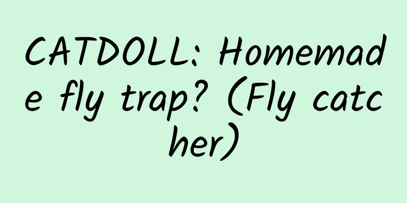 CATDOLL: Homemade fly trap? (Fly catcher)