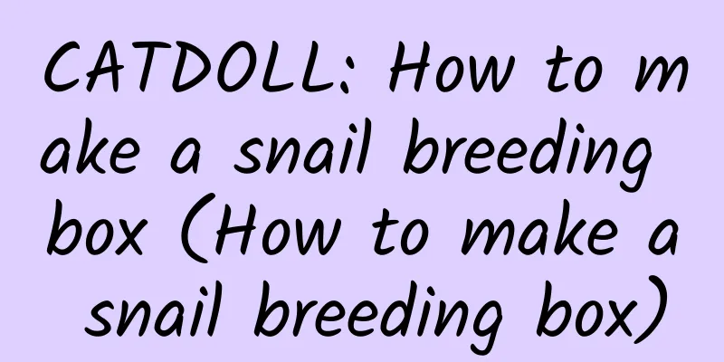 CATDOLL: How to make a snail breeding box (How to make a snail breeding box)