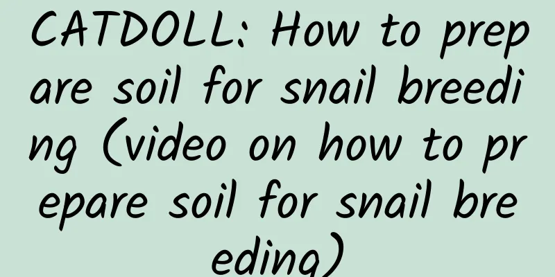 CATDOLL: How to prepare soil for snail breeding (video on how to prepare soil for snail breeding)