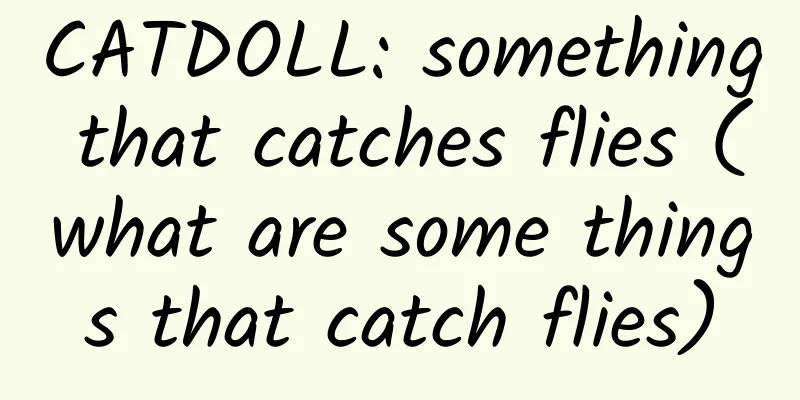 CATDOLL: something that catches flies (what are some things that catch flies)