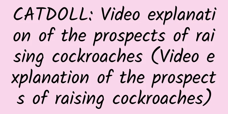 CATDOLL: Video explanation of the prospects of raising cockroaches (Video explanation of the prospects of raising cockroaches)