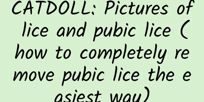 CATDOLL: Pictures of lice and pubic lice (how to completely remove pubic lice the easiest way)