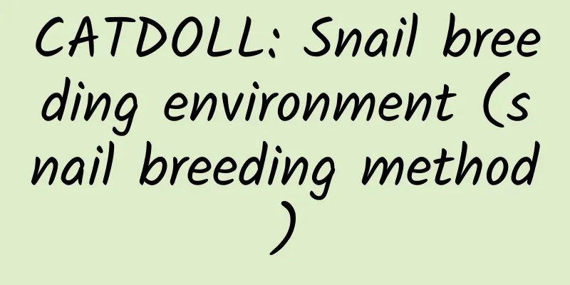 CATDOLL: Snail breeding environment (snail breeding method)