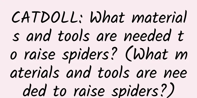 CATDOLL: What materials and tools are needed to raise spiders? (What materials and tools are needed to raise spiders?)