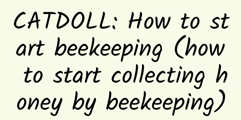CATDOLL: How to start beekeeping (how to start collecting honey by beekeeping)