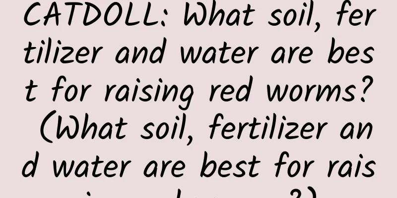 CATDOLL: What soil, fertilizer and water are best for raising red worms? (What soil, fertilizer and water are best for raising red worms?)
