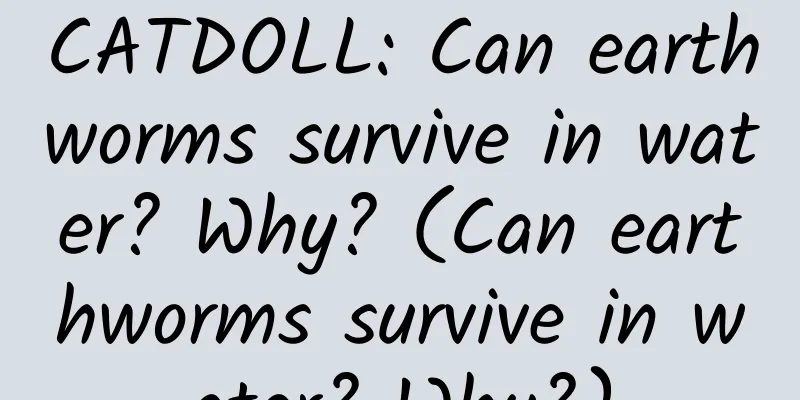 CATDOLL: Can earthworms survive in water? Why? (Can earthworms survive in water? Why?)