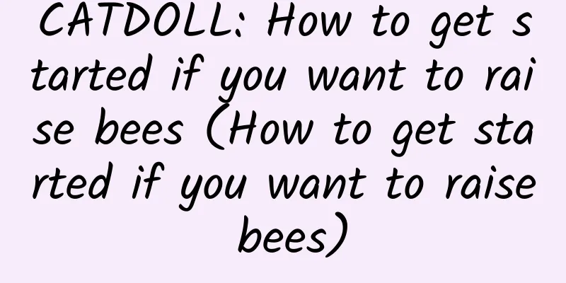 CATDOLL: How to get started if you want to raise bees (How to get started if you want to raise bees)