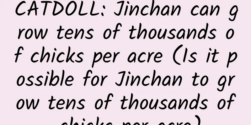 CATDOLL: Jinchan can grow tens of thousands of chicks per acre (Is it possible for Jinchan to grow tens of thousands of chicks per acre)