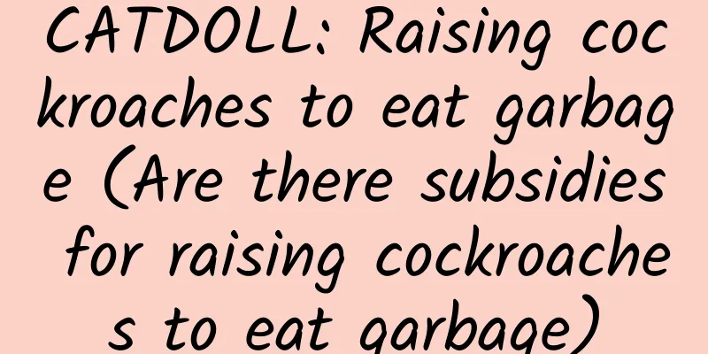CATDOLL: Raising cockroaches to eat garbage (Are there subsidies for raising cockroaches to eat garbage)