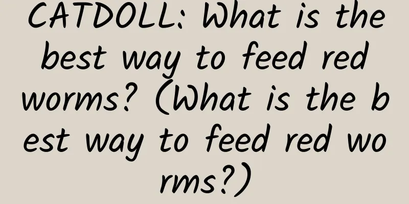 CATDOLL: What is the best way to feed red worms? (What is the best way to feed red worms?)
