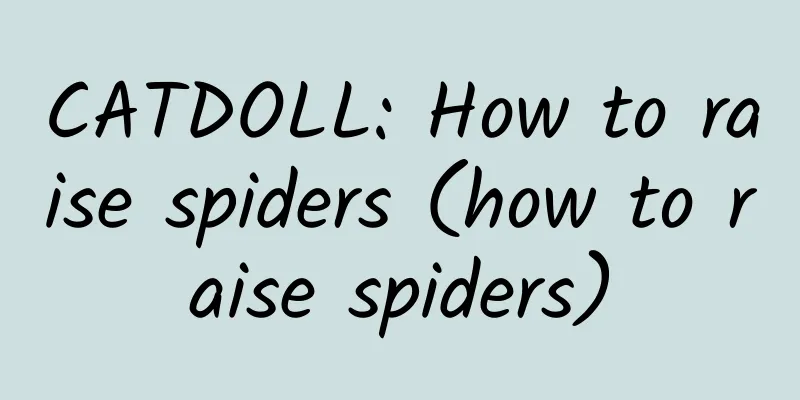 CATDOLL: How to raise spiders (how to raise spiders)