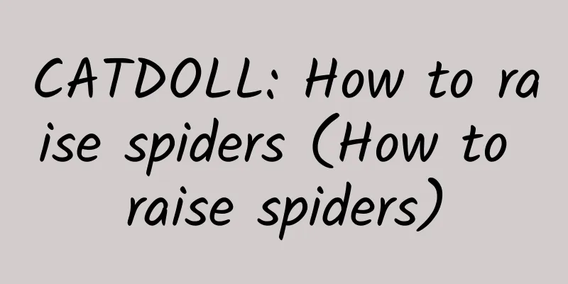 CATDOLL: How to raise spiders (How to raise spiders)