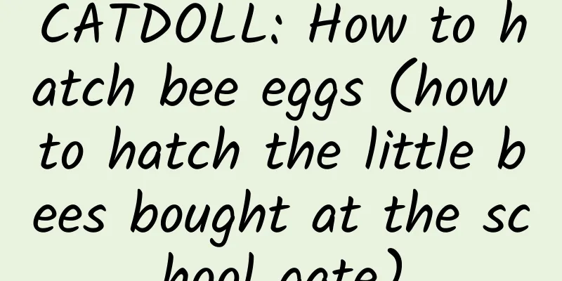 CATDOLL: How to hatch bee eggs (how to hatch the little bees bought at the school gate)