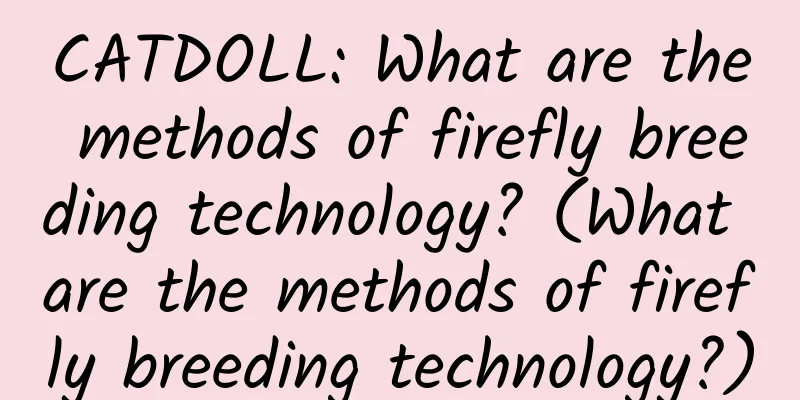 CATDOLL: What are the methods of firefly breeding technology? (What are the methods of firefly breeding technology?)