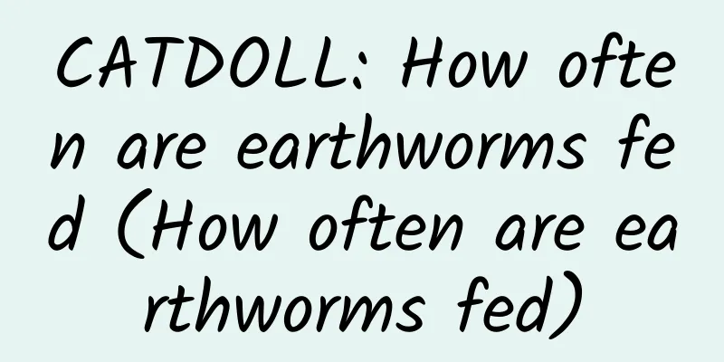 CATDOLL: How often are earthworms fed (How often are earthworms fed)