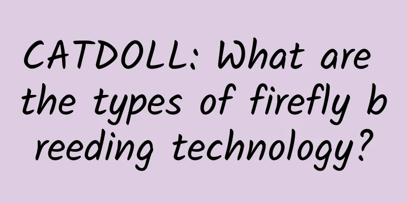 CATDOLL: What are the types of firefly breeding technology?