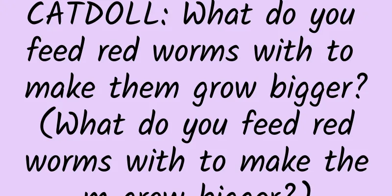 CATDOLL: What do you feed red worms with to make them grow bigger? (What do you feed red worms with to make them grow bigger?)
