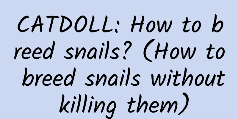 CATDOLL: How to breed snails? (How to breed snails without killing them)