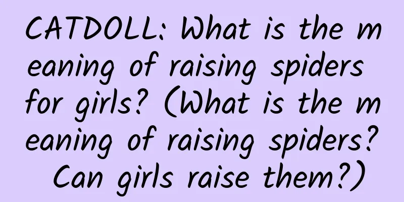 CATDOLL: What is the meaning of raising spiders for girls? (What is the meaning of raising spiders? Can girls raise them?)