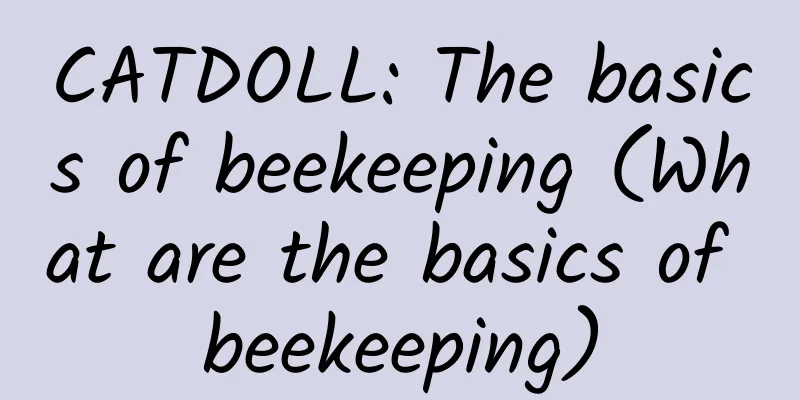 CATDOLL: The basics of beekeeping (What are the basics of beekeeping)