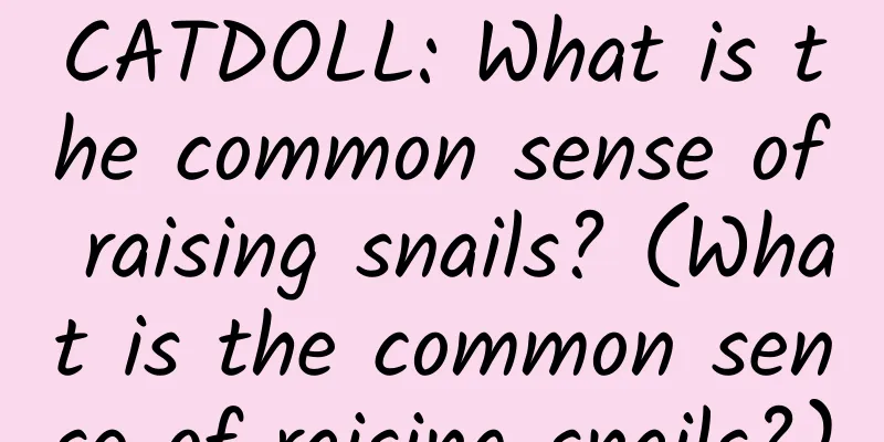 CATDOLL: What is the common sense of raising snails? (What is the common sense of raising snails?)
