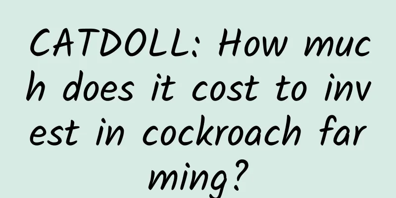 CATDOLL: How much does it cost to invest in cockroach farming?
