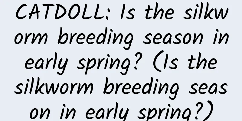 CATDOLL: Is the silkworm breeding season in early spring? (Is the silkworm breeding season in early spring?)
